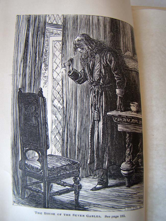 The Works of Nathanial Hawthorne, 2 volumes, published by Houghton, Osgood & Co., Boston, 1879-1880 — image 3